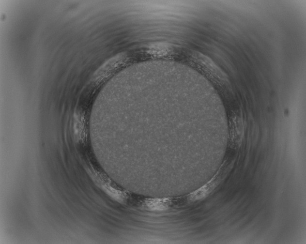 X0000085270136200703231750