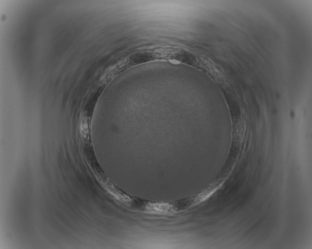 X0000085270137200703231750