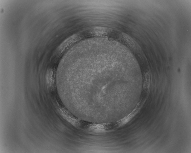 X0000085270140200703231750