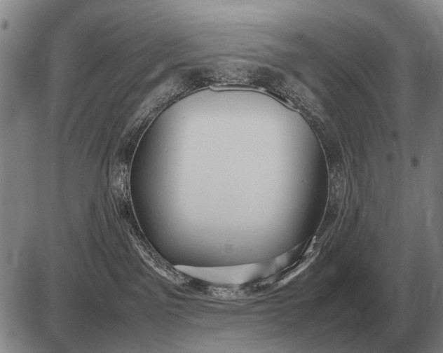 X0000085270141200703231750