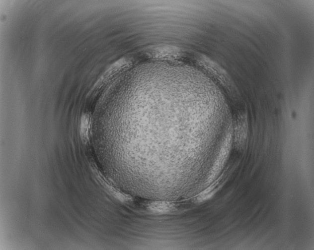 X0000085270142200703231750