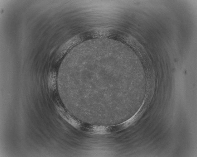 X0000085270144200703231750