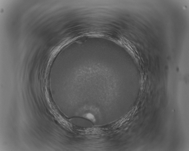 X0000085270145200703231749