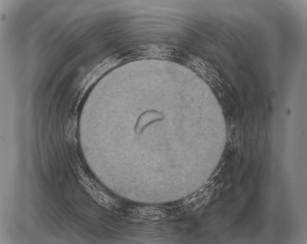 X0000085270146200703231749