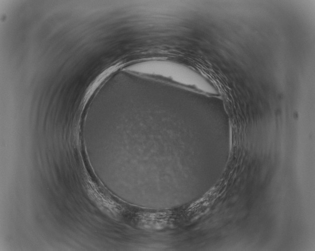 X0000085270147200703231750