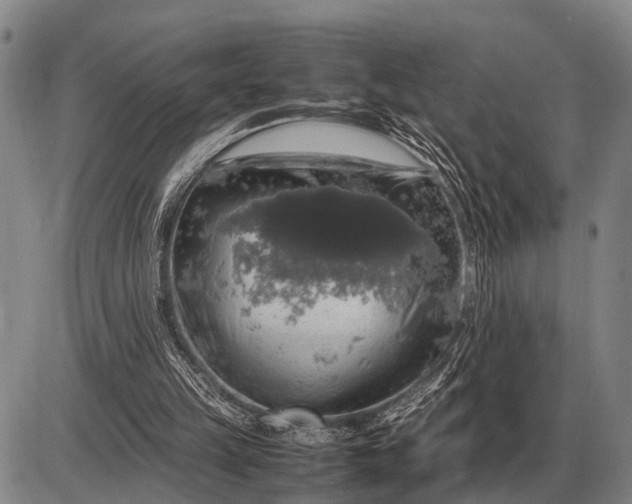 X0000085270149200703231750