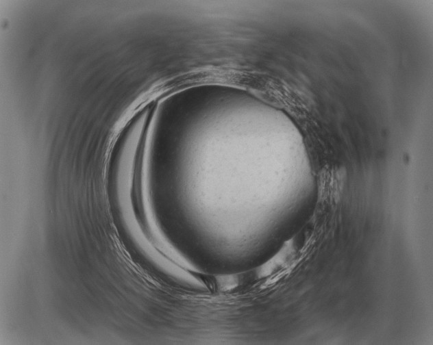 X0000085270150200703231750