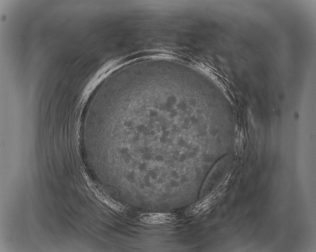 X0000085270151200703231750