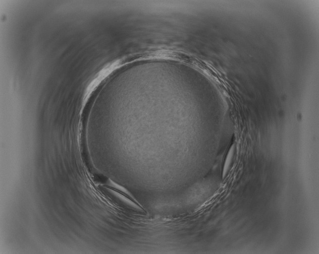 X0000085270152200703231750