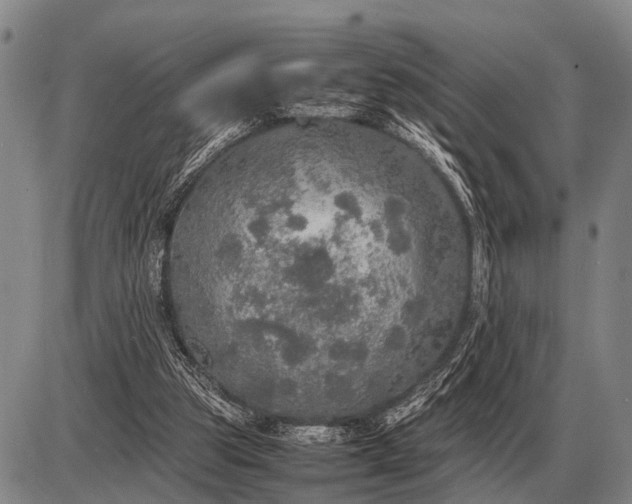 X0000085270153200703231750