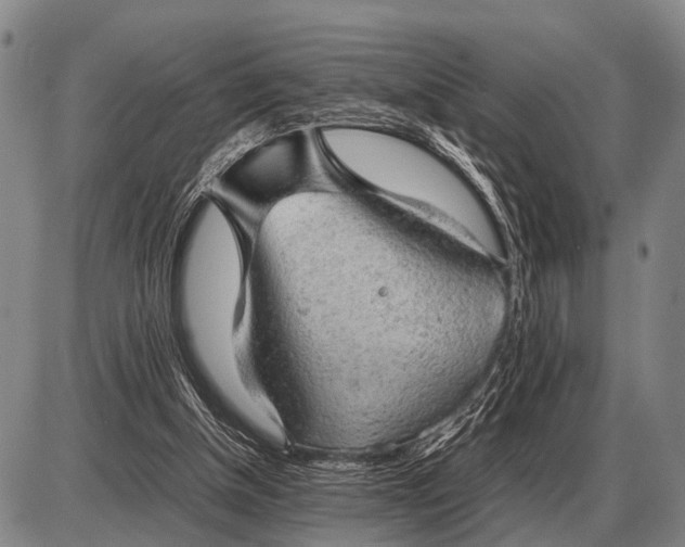 X0000085270154200703231750