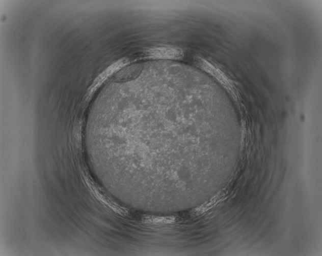 X0000085270155200703231750