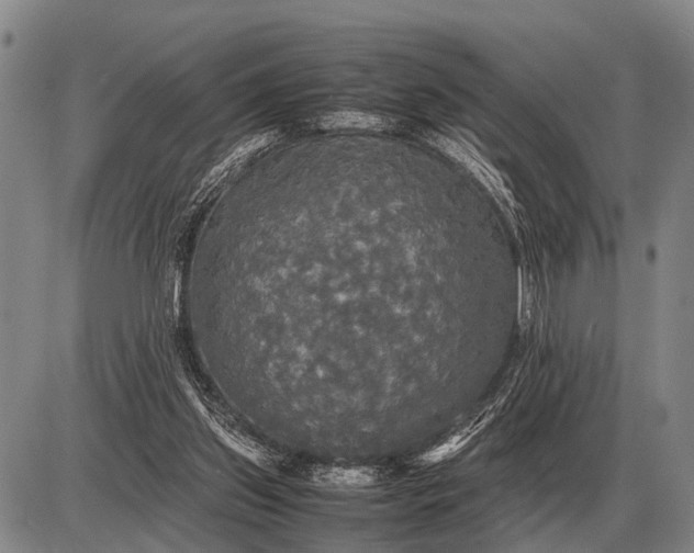 X0000085270157200703231750