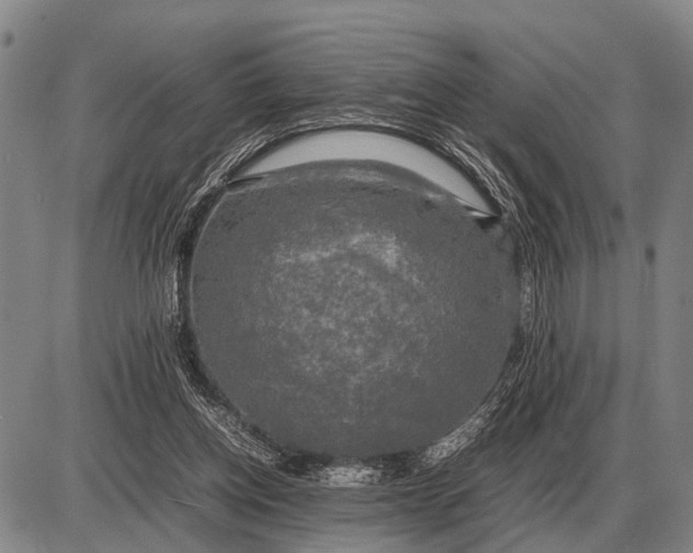 X0000085270158200703231750