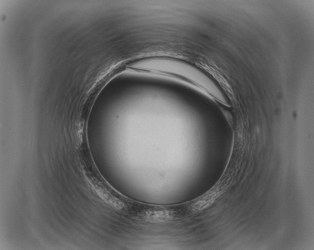 X0000085270160200703231750