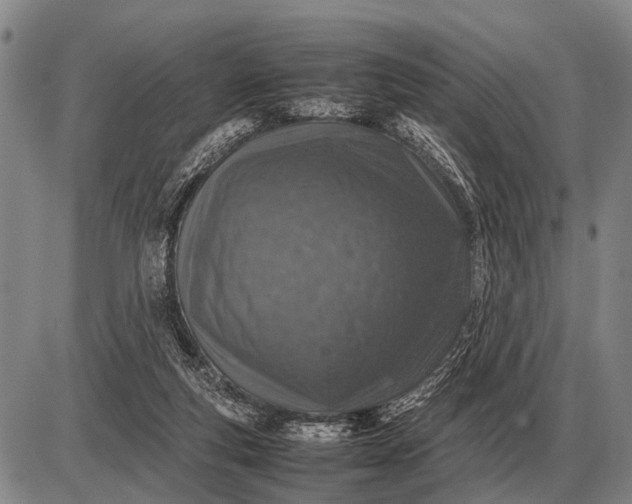 X0000085270163200703231750