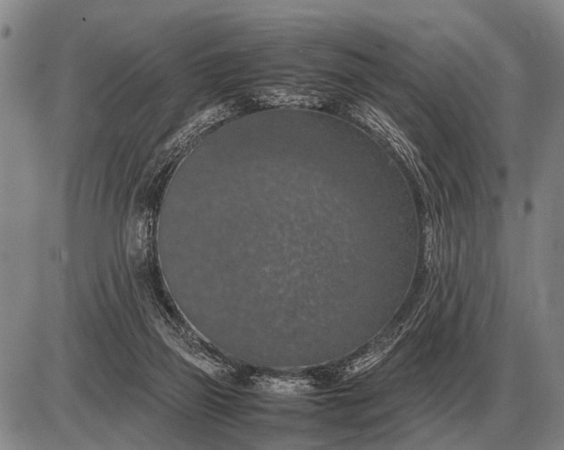 X0000085270165200703231750