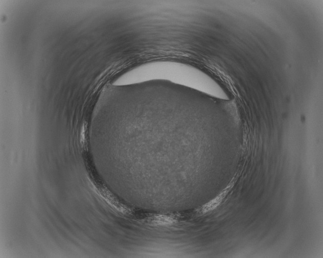 X0000085270166200703231750