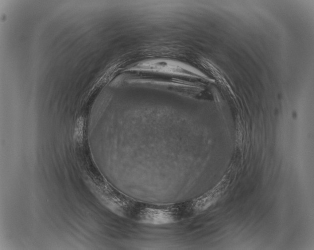 X0000085270167200703231750