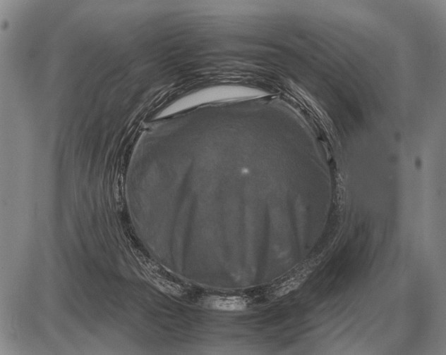 X0000085270169200703231750