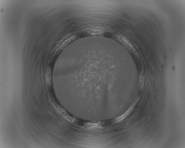 X0000085270170200703231750