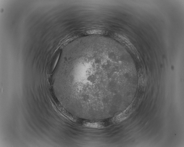 X0000085270171200703231750