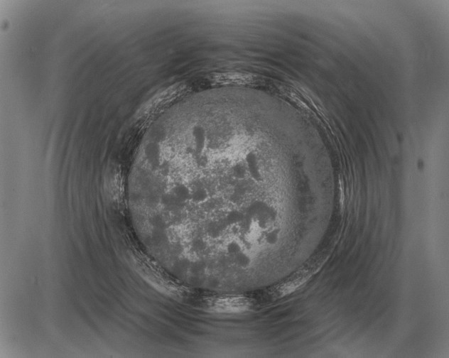 X0000085270173200703231750