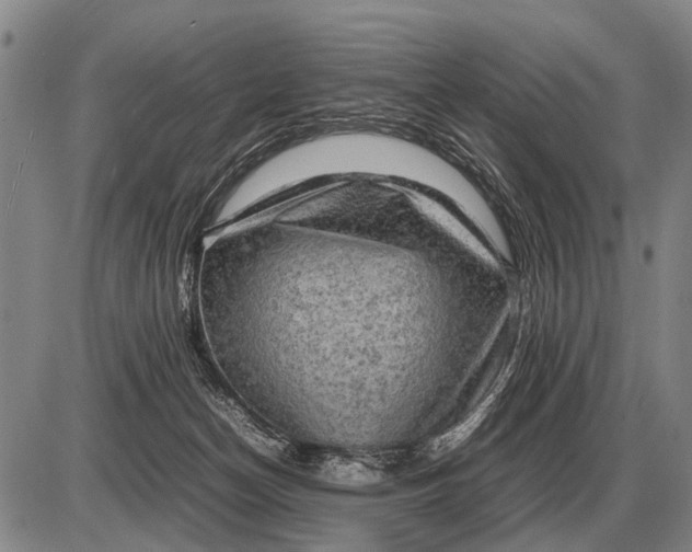 X0000085270174200703231750