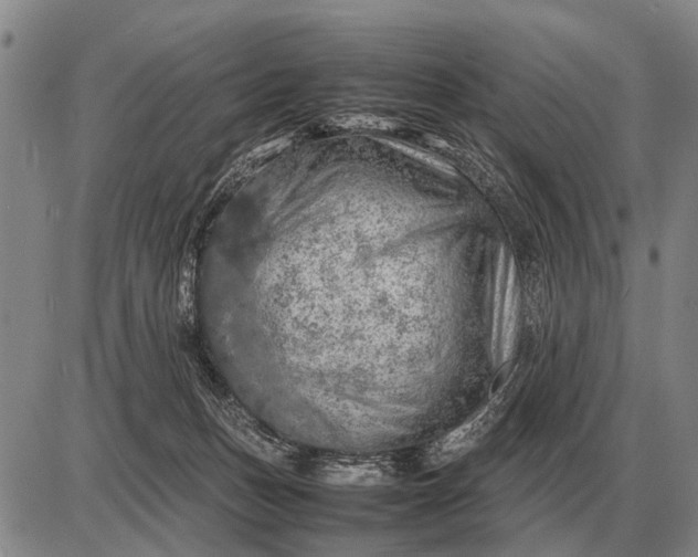 X0000085270175200703231750