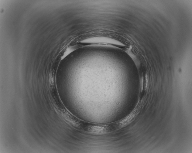 X0000085270176200703231750