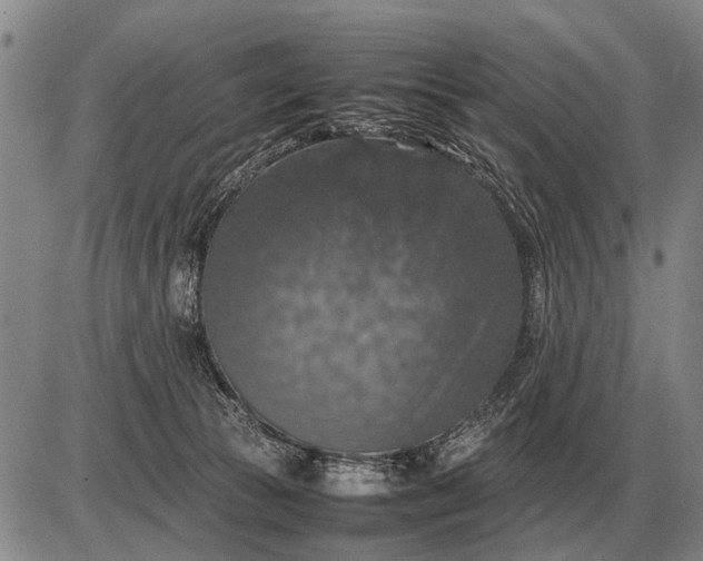 X0000085270177200703231750