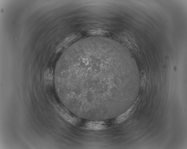 X0000085270179200703231750