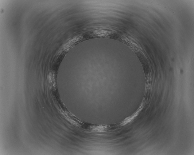 X0000085270182200703231750