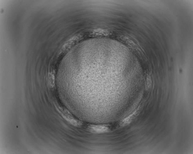 X0000085270183200703231750