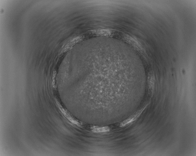 X0000085270185200703231750