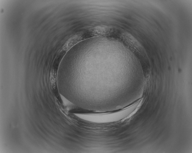 X0000085270186200703231750