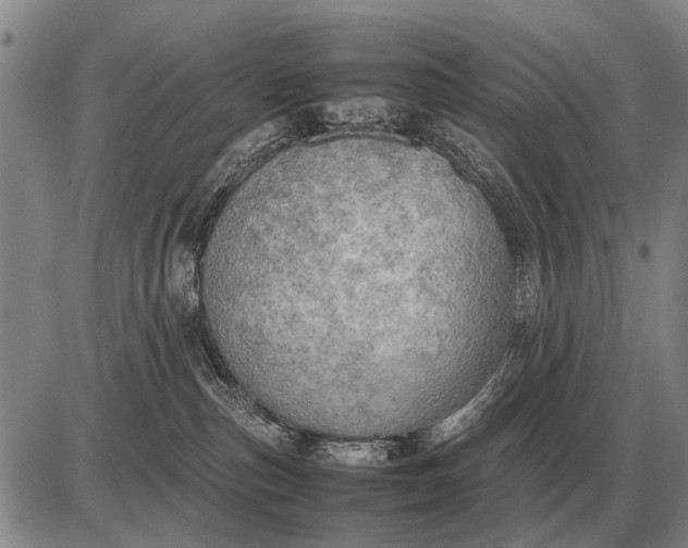 X0000085270187200703231750