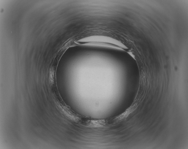 X0000085270188200703231750