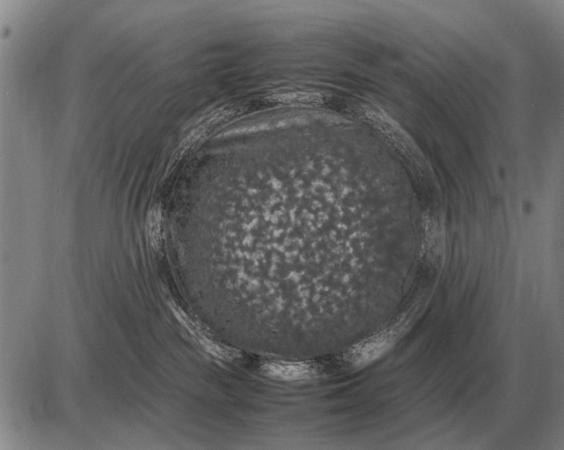 X0000085270189200703231750