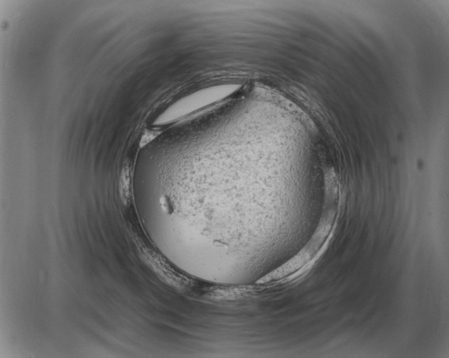 X0000085270190200703231750