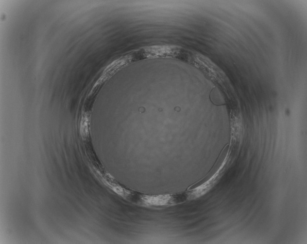 X0000085270191200703231750