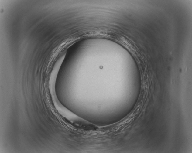 X0000085270193200703231749