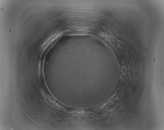 X0000085270194200703231749