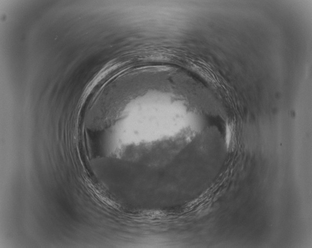 X0000085270195200703231749