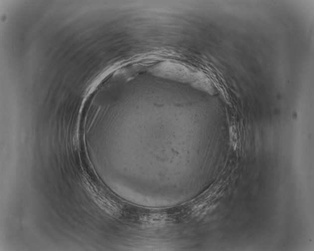 X0000085270196200703231749