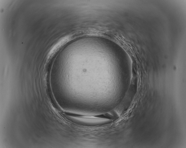 X0000085270197200703231749