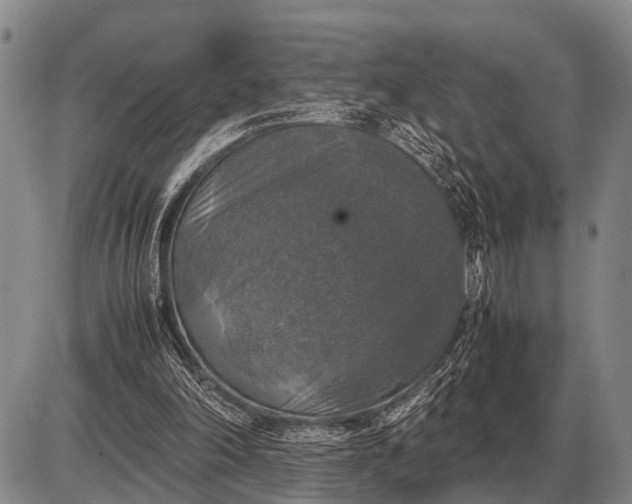 X0000085270198200703231749