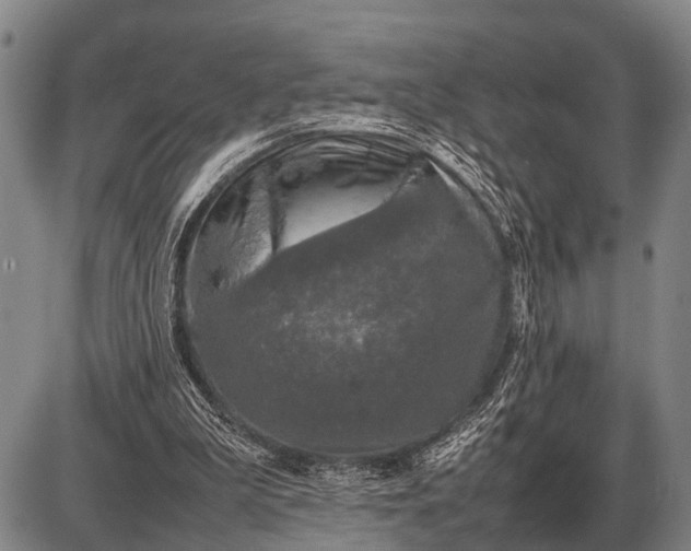 X0000085270199200703231749