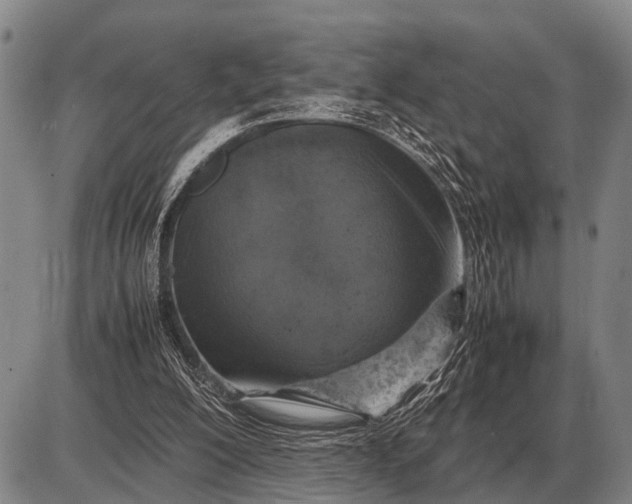 X0000085270200200703231749