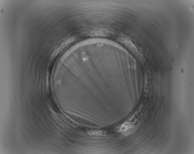 X0000085270202200703231749